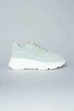 CPH61 crosta mint - alternative 3