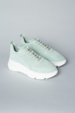 CPH61 crosta mint - alternative 2