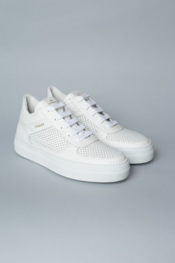 CPH402 vitello white