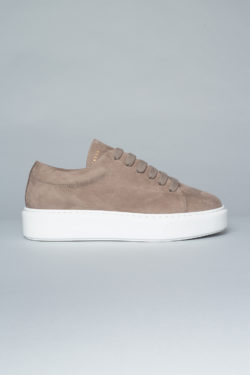 CPH407 nabuc taupe - alternative 2