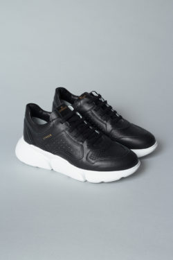 CPH411 vitello black