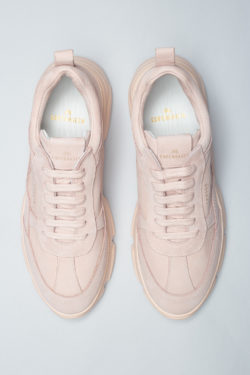 CPH60 nabuc rose - alternative 2