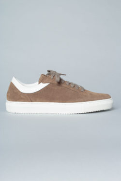 CPH112M crosta stone - alternative 1