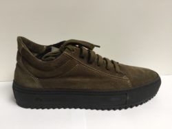 CPH330 crosta olive