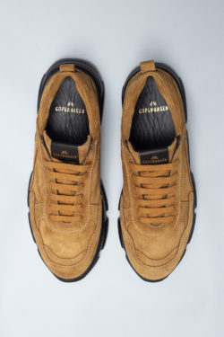 CPH40 crosta honey - alternative 2