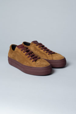 CPH93 crosta honey - alternative 1