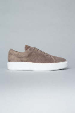 CPH407M crosta taupe - alternative 2