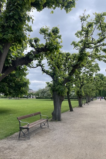This image shows the King’s Garden park.