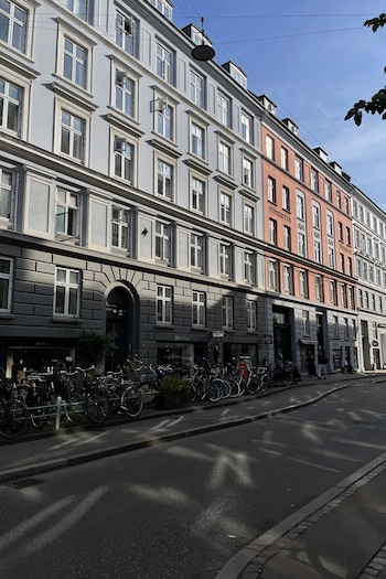 This image is a picture of the Elmegade Street – a side street in Nørrebro, Copenhagen.