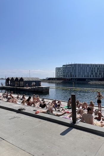 This picture captures the people tanning and swimming at Nordhavn in Copenhagen.