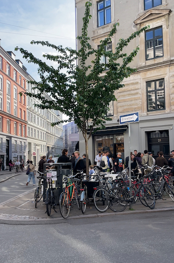 This image is a picture of a corner at Elmegade Street – a side street in Nørrebro, Copenhagen.