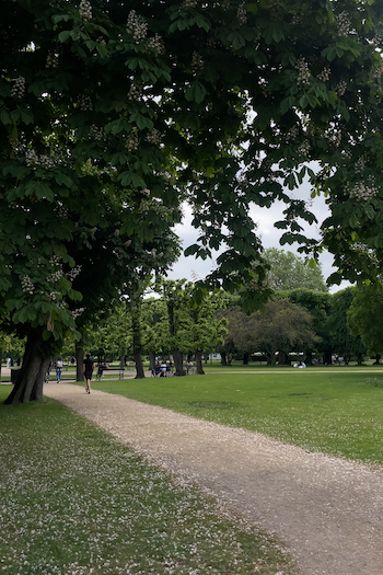 This image shows the King’s Garden park.