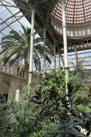 This image shows the botanical garden inside the Glyptotek.