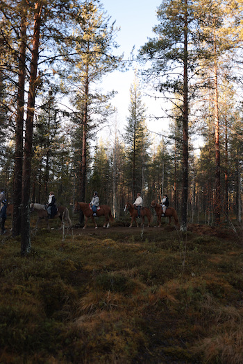 Behind the scenes of the horse riding. 