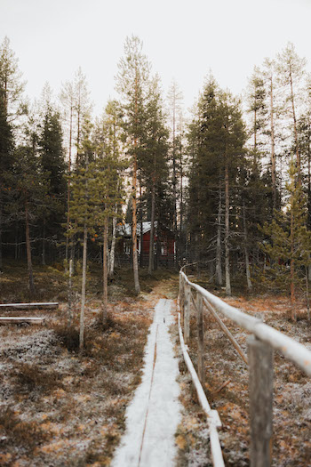 A landscape image of Finnish Lapland. 